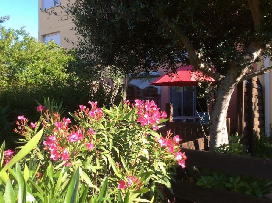 Cap Agde Studio-Cabine Jardin Clos, Port Et Plage Exterior photo